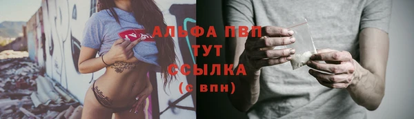 сатива Мегион