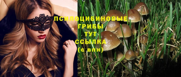 сатива Мегион