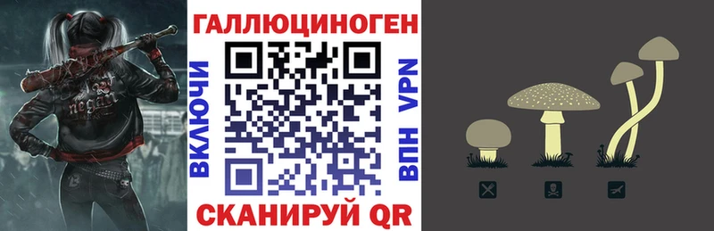Псилоцибиновые грибы Psilocybe  Туапсе 